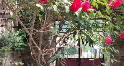 Maison en pierres rénovée, calme, terrasse, vue sur les montagnes, 8 pers.