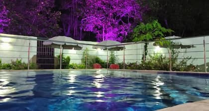 Hotel palmetto Beach