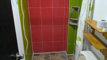 Shower, towels, soap, toilet paper