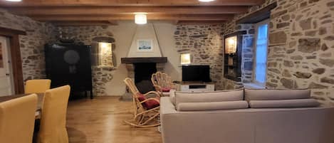 Smart TV, fireplace, books