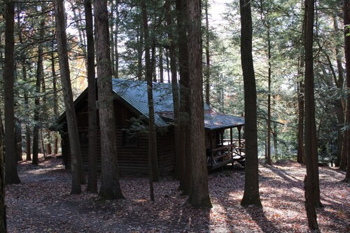Cozy Log Cabin in Cook Forest with a wood fireplace. ~ Dog Friendly