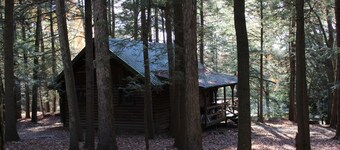 Cozy Log Cabin in Cook Forest with a wood fireplace. ~ Dog Friendly