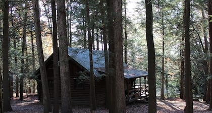 Cozy Log Cabin in Cook Forest with a wood fireplace. ~ Dog Friendly