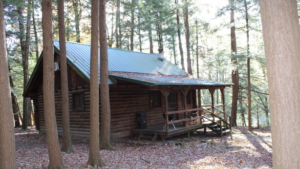 A rustic log cabin with a metal roof, surrounded by tall trees and a forest floor covered with fallen leaves. - Cozy Log Cabin in Cook Forest ~ Dog Friendly (Clarington)