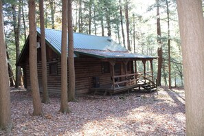 A rustic log cabin with a metal roof, surrounded by tall trees and a forest floor covered with fallen leaves. - Cozy Log Cabin in Cook Forest ~ Dog Friendly (Clarington)