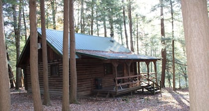 Cozy Log Cabin in Cook Forest ~ Dog Friendly