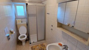 Une salle de bain équipée de toilettes, d’une douche, d’un lavabo et d’un miroir.