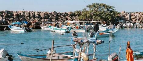 Punta de Mita
