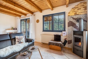 A cozy living room with a fireplace, leather sofa, and a glass coffee table. - Holiday Home 'Elisabeth' with Barrel Sauna and Private Garden (Hornberg)
