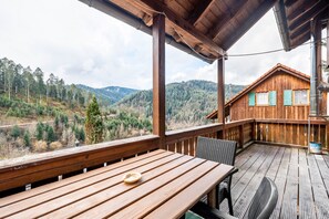 Outdoor dining - Holiday Home 'Elisabeth' with Barrel Sauna and Private Garden (Hornberg)