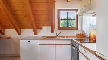 Fridge, oven, stovetop, dishwasher