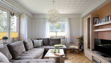 Fernseher, Stereoanlage