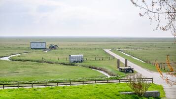 Ländliche Landschaft mit einer Straße, einem Wohnwagen und einem Traktor.