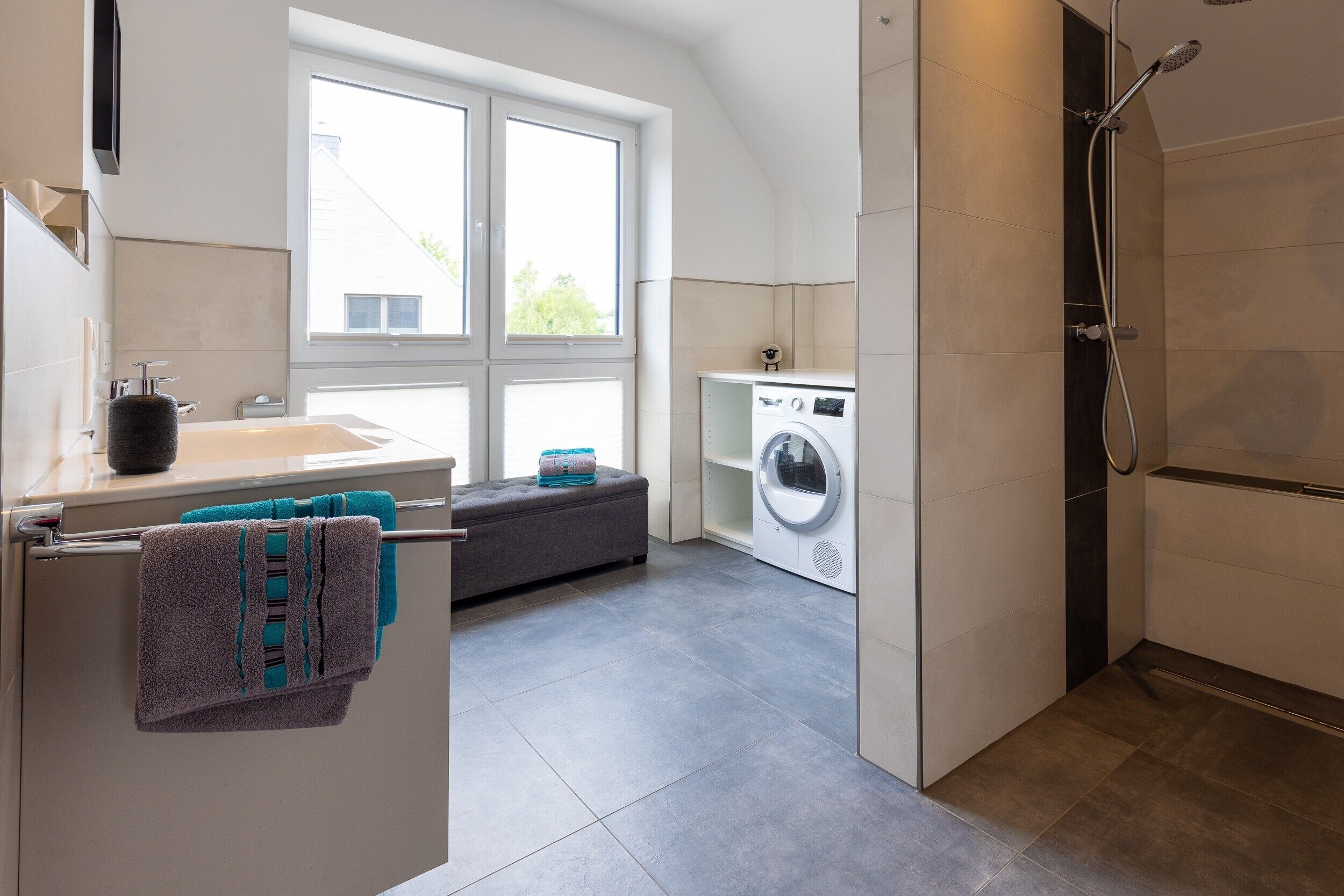Shower, hair dryer