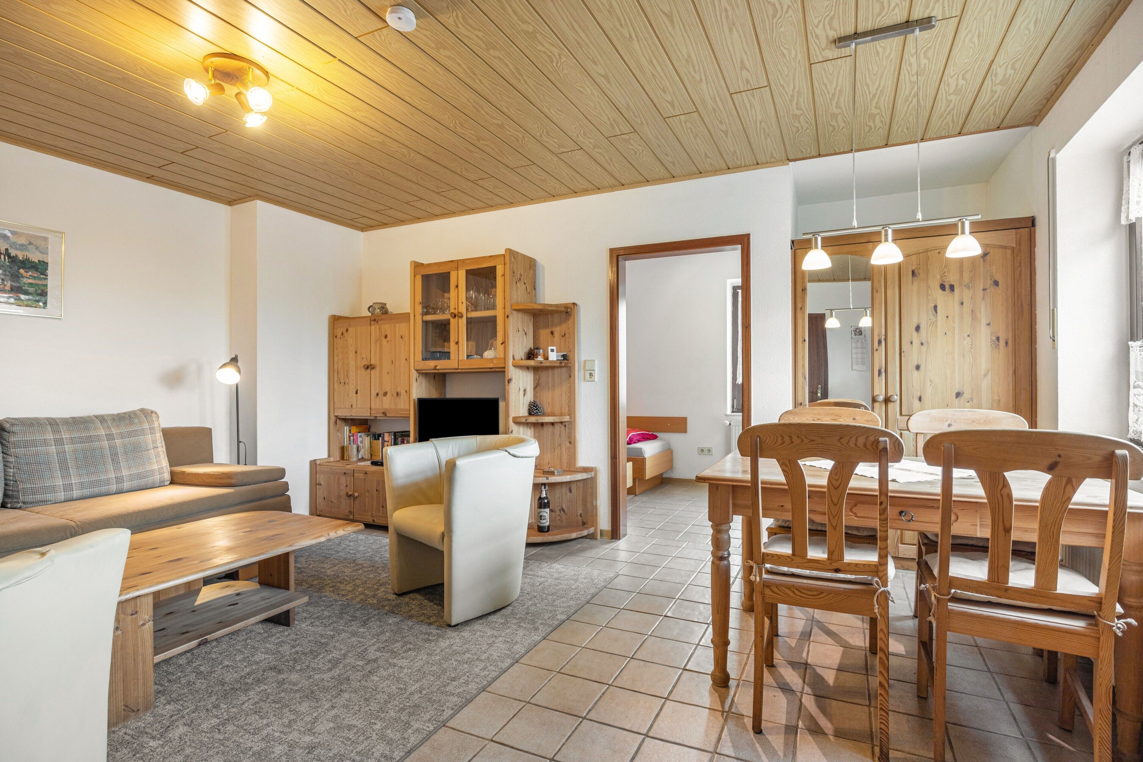 电视、DVD 播放器、乒乓球、立体声音响