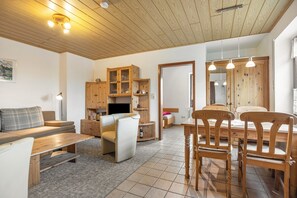 TV, DVD player, table tennis, stereo - Holiday Apartment Fernblick 1, 50 sqm, Terrace, Shared Garden, Dogs Welcome, Wi-Fi (Bad Grund)