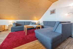 TV, DVD player, table tennis, stereo