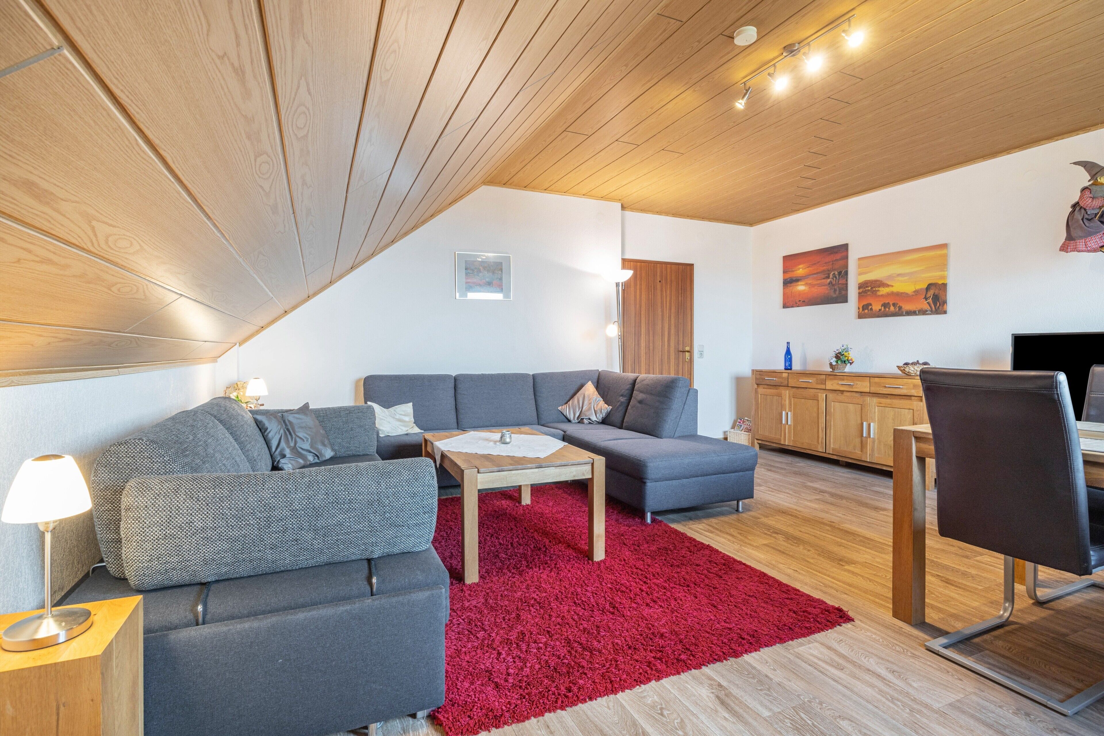 电视、DVD 播放器、乒乓球、立体声音响