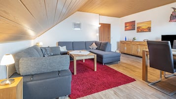 TV, lettore DVD, tavolo da ping pong, impianto stereo