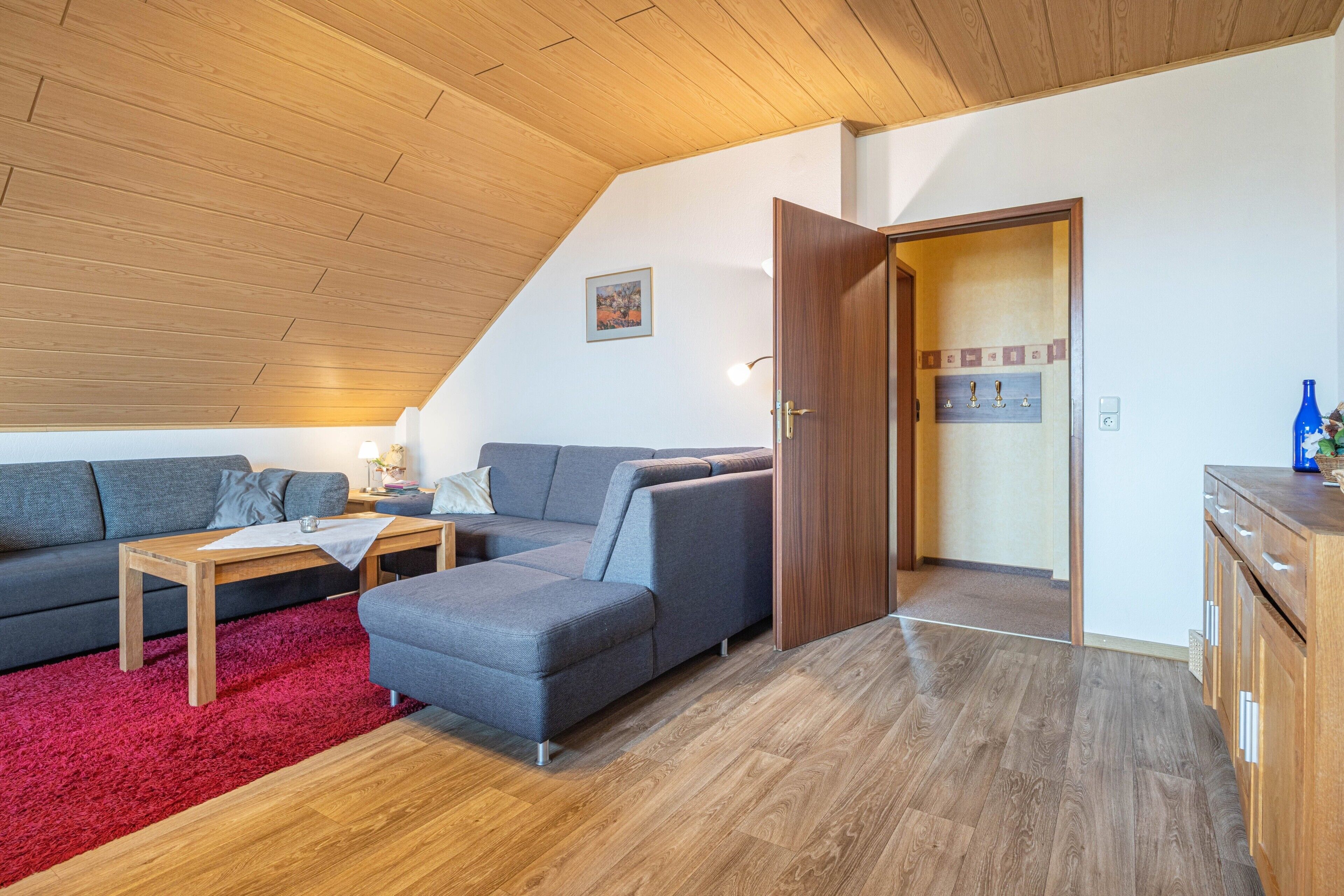 TV, DVD player, ping pong, stereo