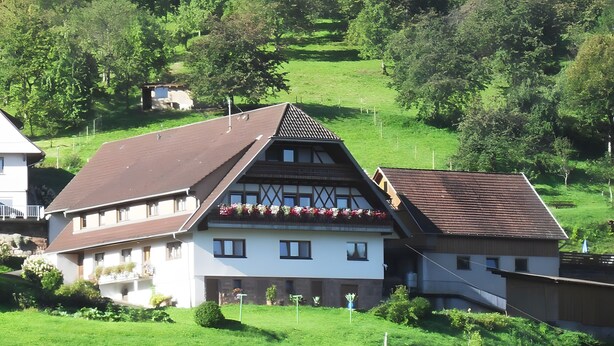 A traditional chalet-style house with a sloped roof, a balcony with flower boxes, and a well-maintained lawn. - Ferienhof Brutoni Apartment "Schwarzwaldtraum" with Mountain View, Balcony, Shared BBQ Area (Bad Peterstal-Griesbach)