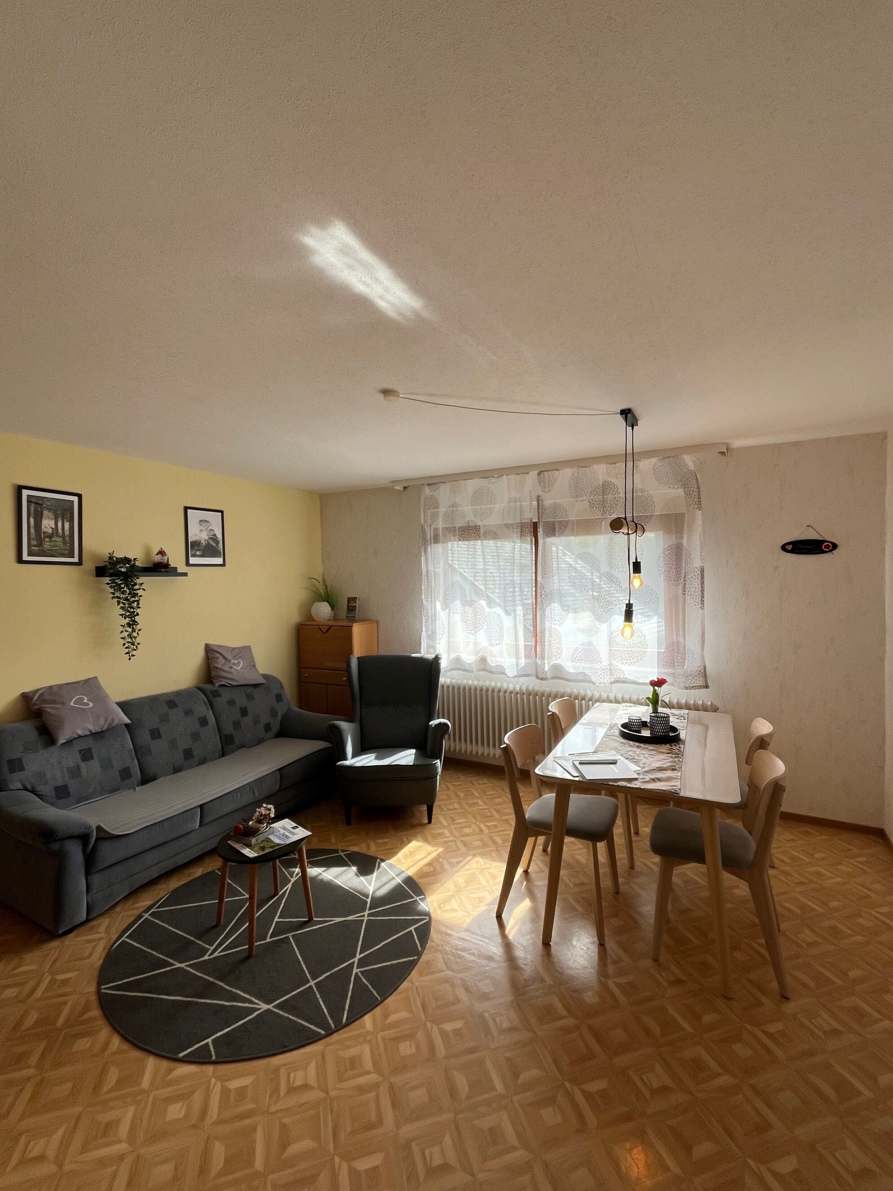 Fernseher