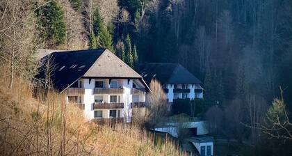 Ferienwohnung 'Riese' mit Balkon und Wi-Fi