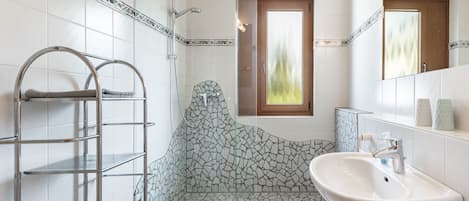 Shower, hair dryer, towels