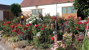 Un jardín con diversas flores y una decoración de vaca.