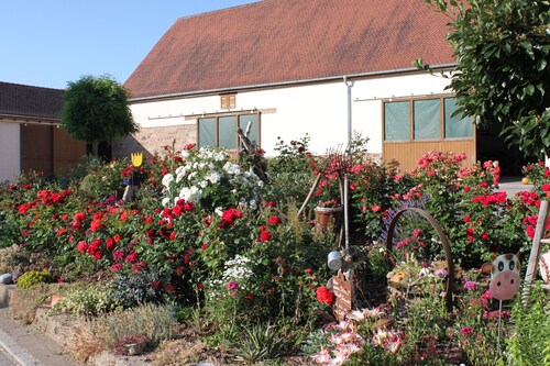 Ferienwohnung 'Sonnenterrasse' mit privater Terrasse, privatem Garten und Wi-Fi