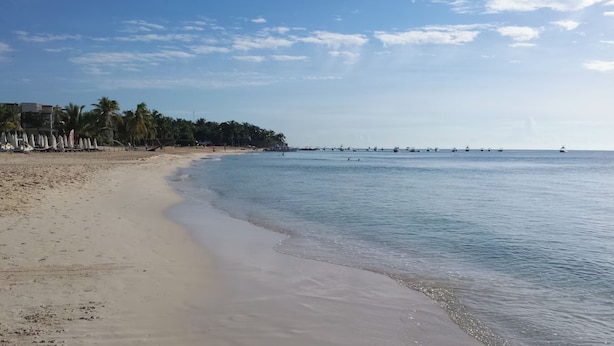 A beach with a sandy shore, palm trees, and a calm sea. - Luxury Penthouse with 2 BR - Meridian (Playa del Carmen)