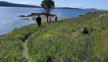 Un sendero costero con gente caminando, rodeado de flores silvestres y una vista despejada del mar.