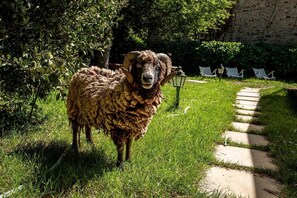 Parco della struttura