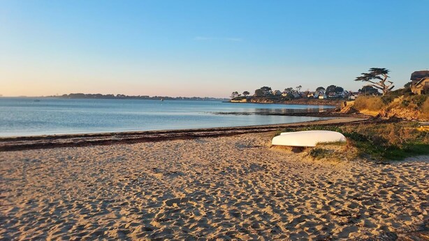 A beach with a white bench, clear sky, and a distant shoreline with buildings and trees.
