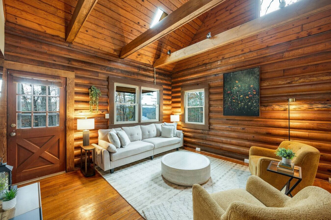 TV, fireplace, books