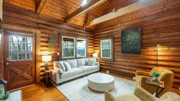 TV, fireplace, books