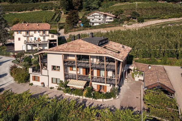 A multi-story building with a sloped roof, surrounded by vineyards.