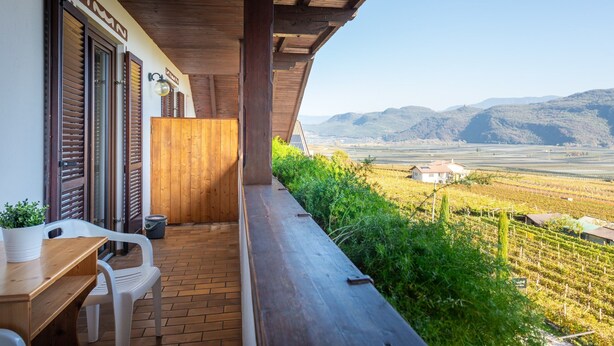 Un balcone con tavolo e sedie in legno, una pianta in vaso e vista su un vigneto e montagne.