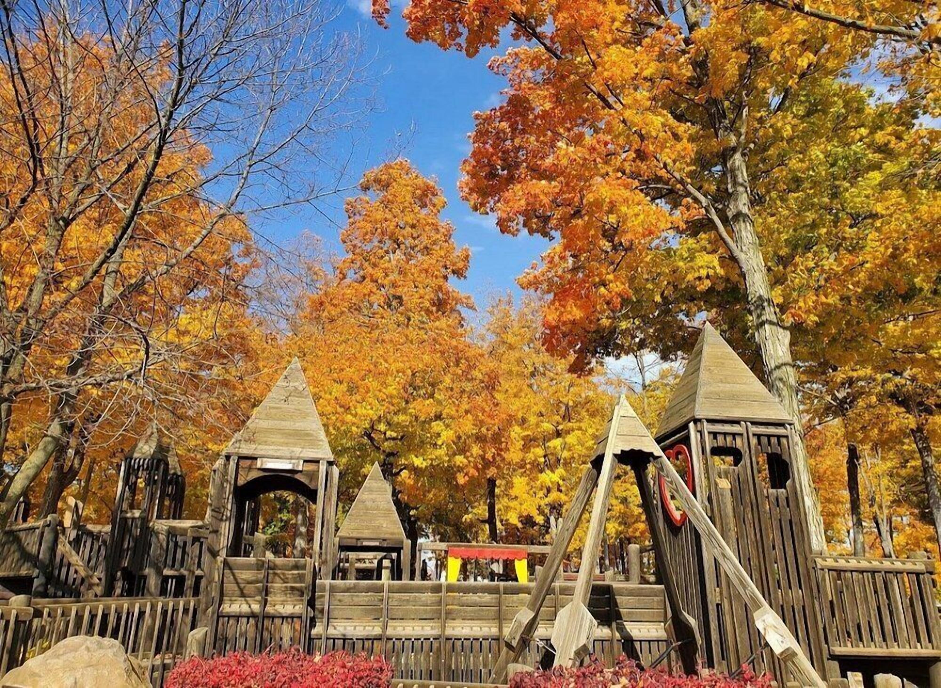 A wooden play structure with multiple levels and lookout points, surrounded by autumn-colored trees.