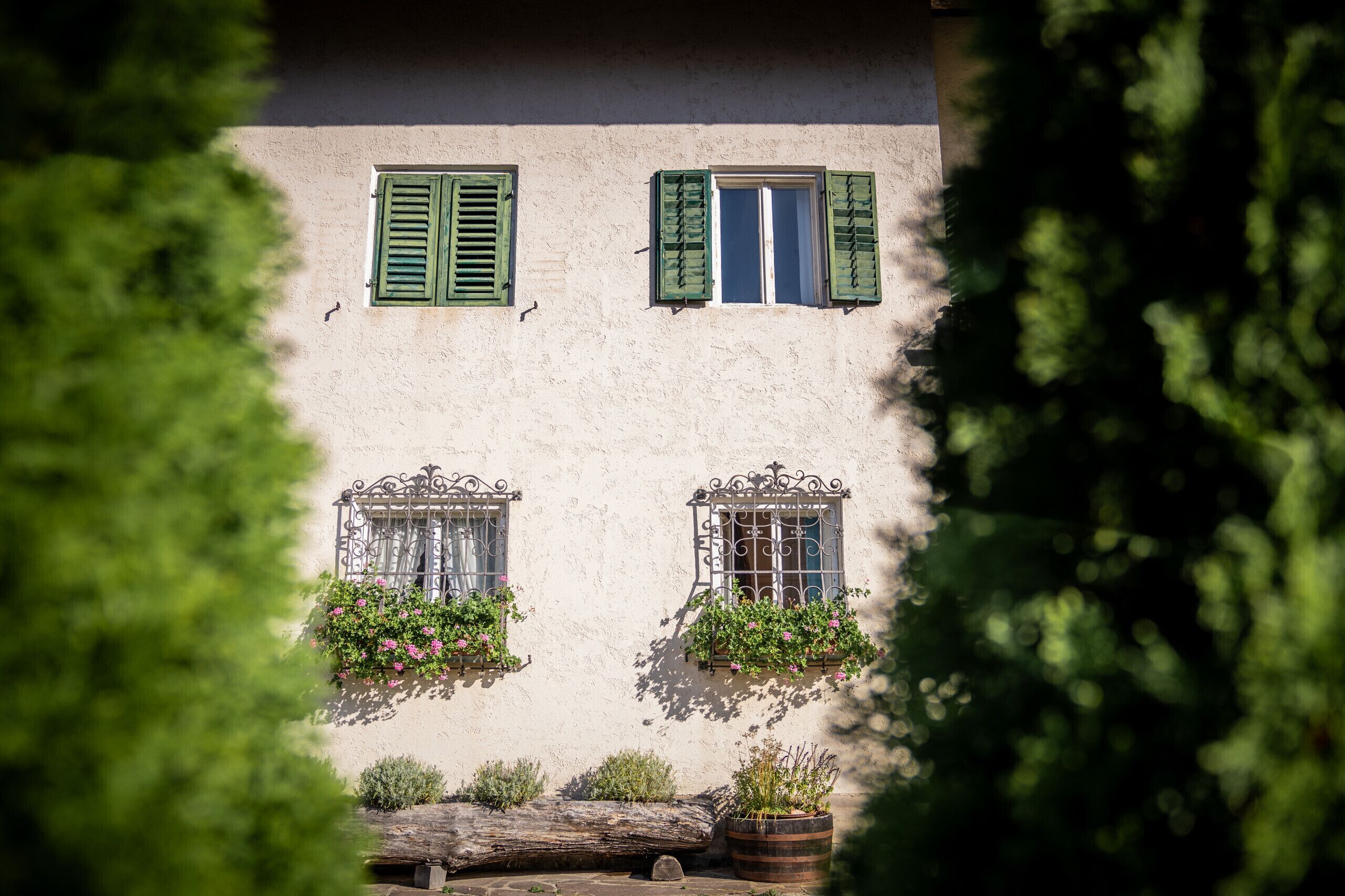 Detalle del exterior