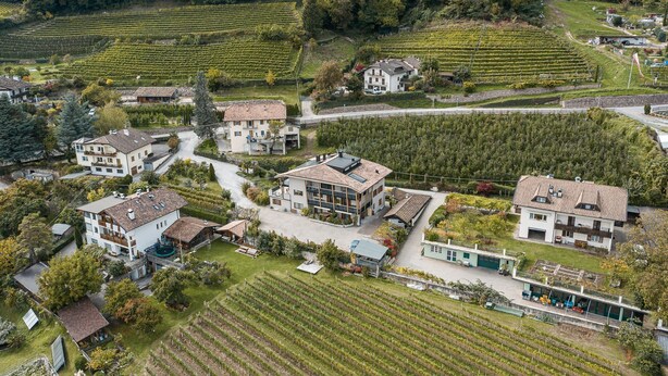 A residential area with houses surrounded by vineyards. - 724C Residence Hofgarten (Caldaro sulla strada del vino)