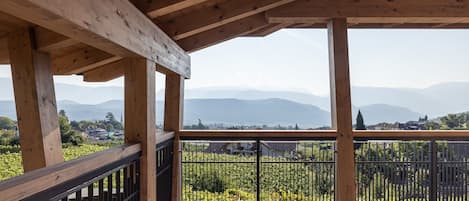 A wooden balcony with a view of a vineyard and distant mountains.