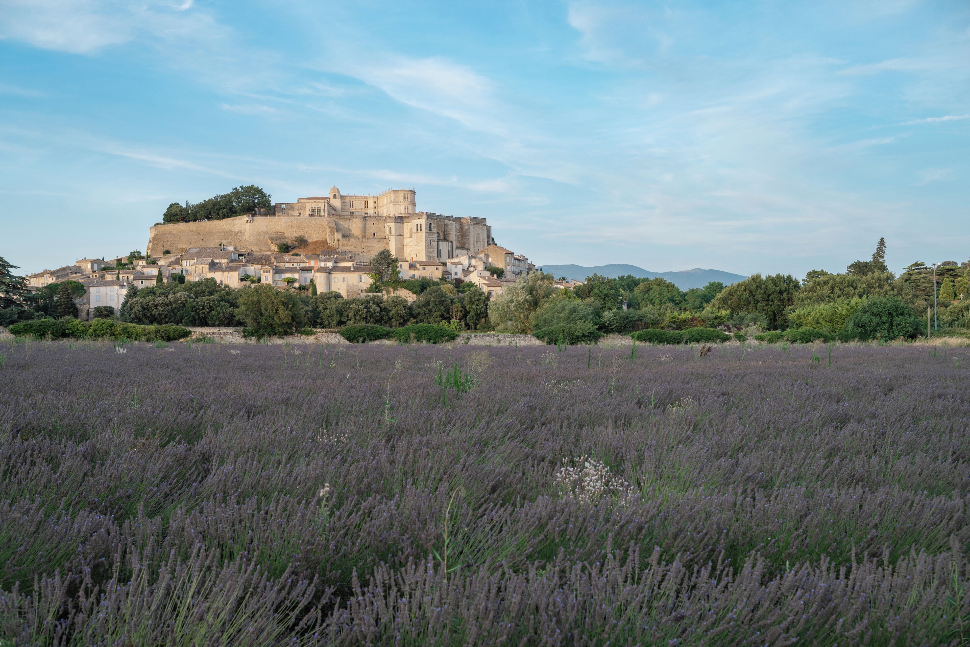 Una ciutat fortificada històrica amb un castell al cim d'un turó, envoltada de camps de lavanda.