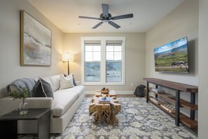 Smart TV, fireplace, books