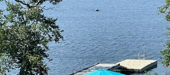 Cozy 1 bedroom lakefront basement apartment in delightful Williamswood, NS