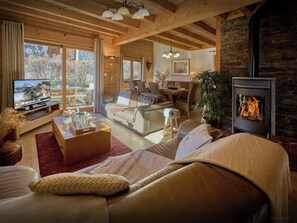 Télévision, cheminée, jeux vidéo, chaîne hi-fi