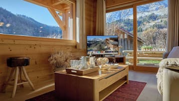 Télévision, cheminée, jeux vidéo, chaßne hi-fi