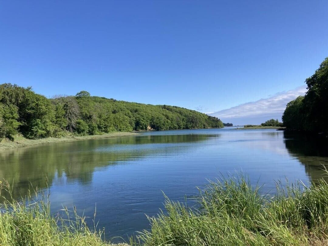Ein ruhiger Fluss, umgeben von üppigem Grün und wolkenlosem, blauem Himmel.