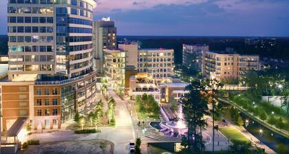 2-Bedroom 2-Full Baths with FREE Parking, Washer & Dryer, WiFi in The Woodlands