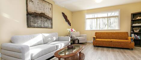 智能电视、壁炉